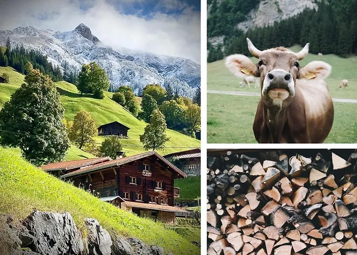 Berglodge Ascharina 3*