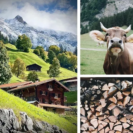 Berglodge Ascharina 3*