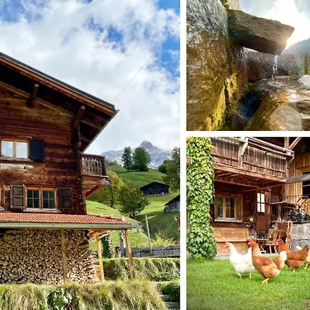 Berglodge Ascharina 3*